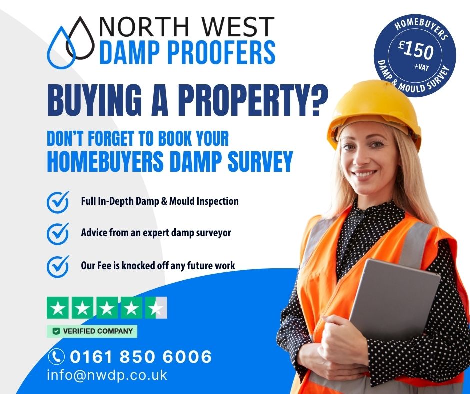 Book a Damp Survey
